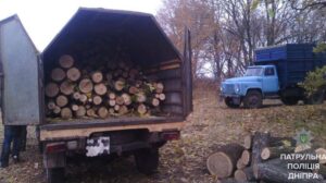 фото полиции, незаконное спиливание древесины