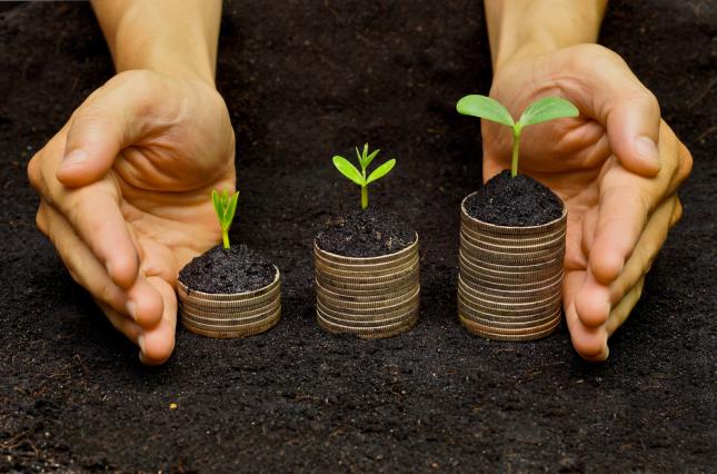 рынок земли