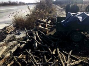 вырубка леса в Днепре, фото полиции