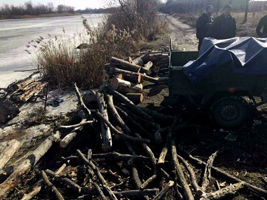 вырубка леса в Днепре, фото полиции