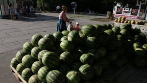 арбузы