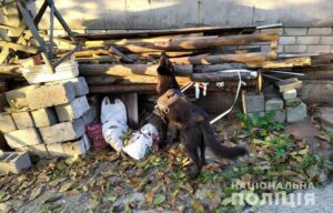 фото полиции
