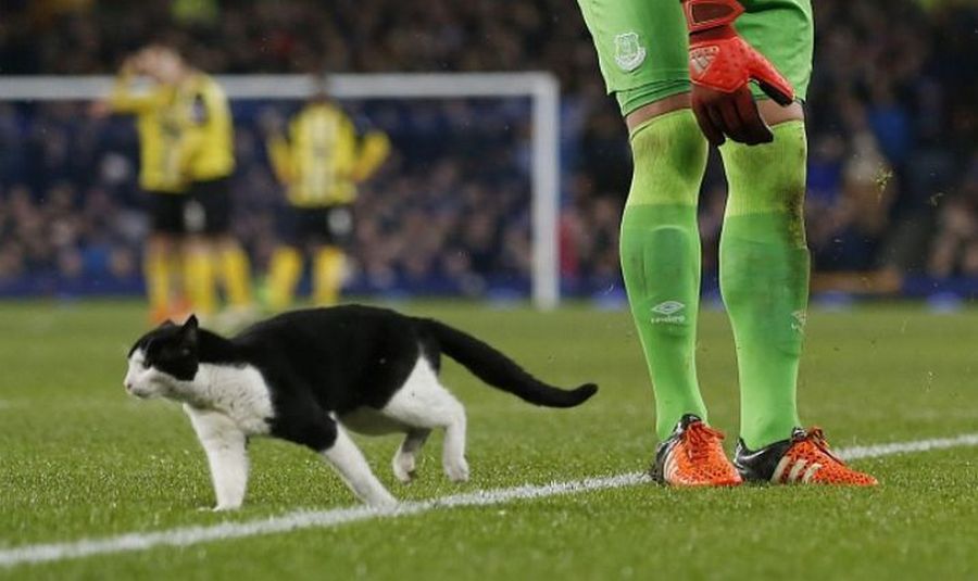 17ea7ff502b5761e1b00908cd2e40e96