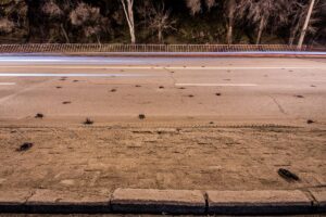 180303a5-7403-86c4-0d97-af9e18294456