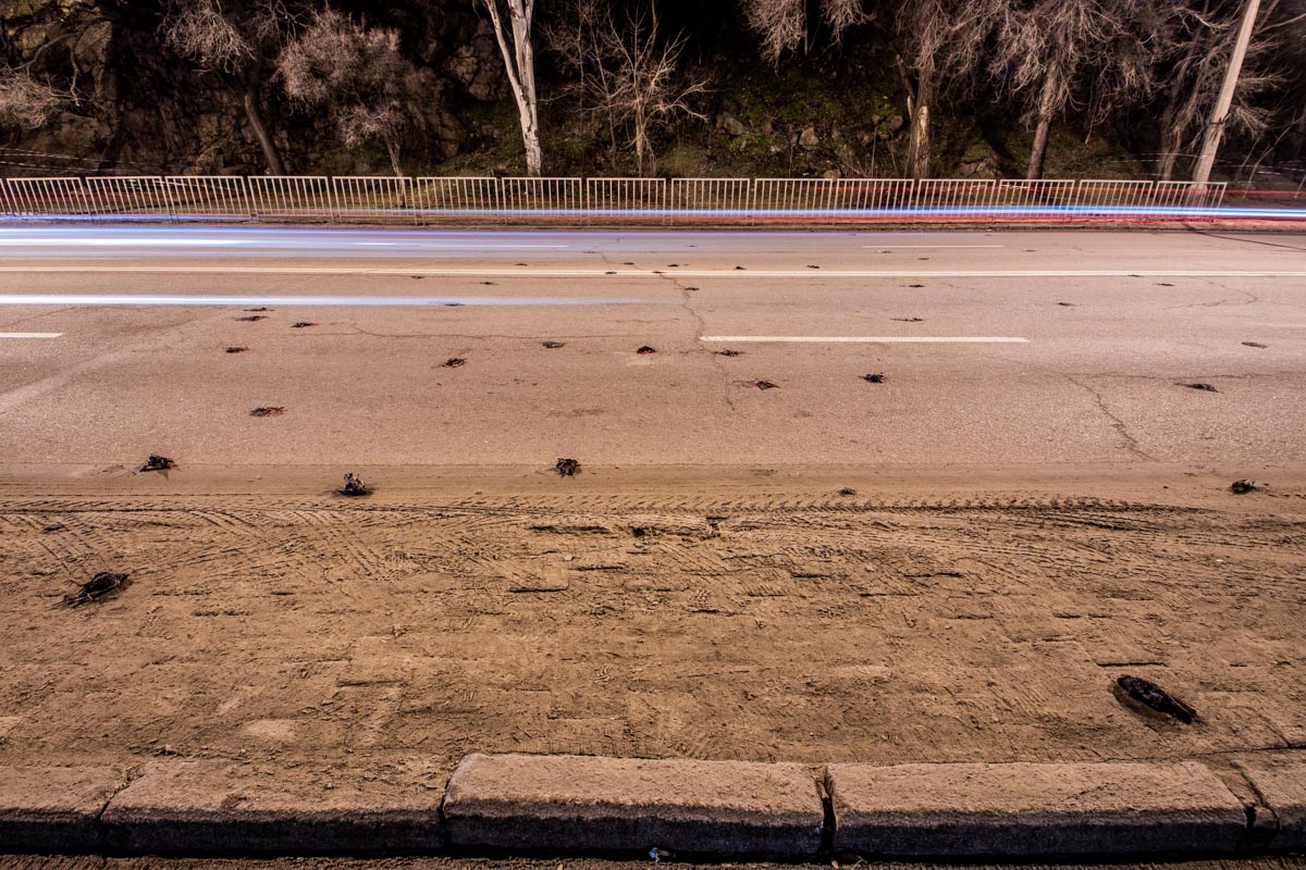 180303a5-7403-86c4-0d97-af9e18294456