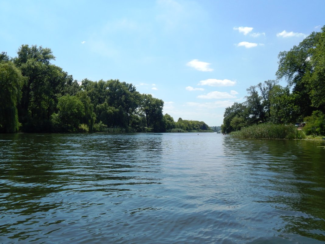 Саксагань