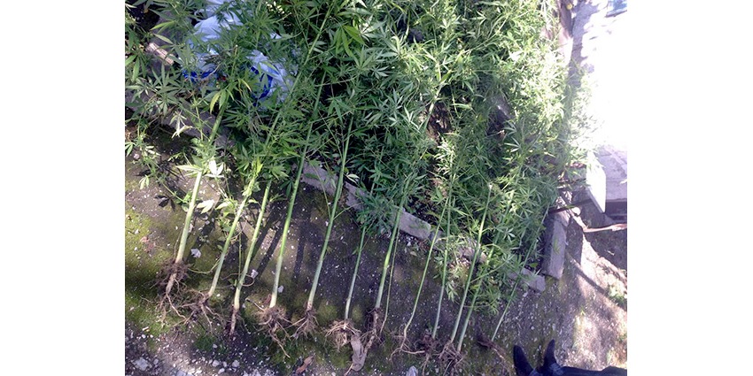 аренда жилья