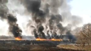 За три месяца 2020 года сгорело столько же травы и леса, как за весь 2018 год