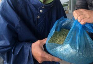 Севастопольский парк