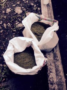 наркотики в пакетах Днепропетровск