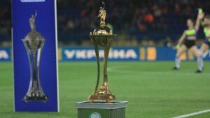 Кубок Украины