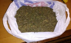 Настя Каменских