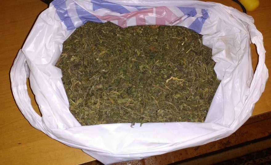 Настя Каменских