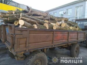 фото полиции