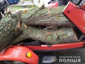 Полицейские задержали пьяного мотоциклиста со спиленными деревьями (фото)