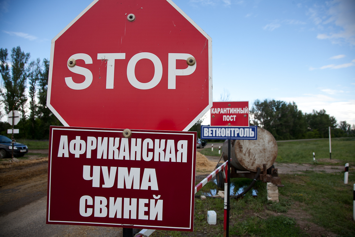 карантин
