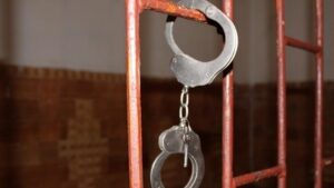 Зеленский ветировал закон о кастрации педофилов
