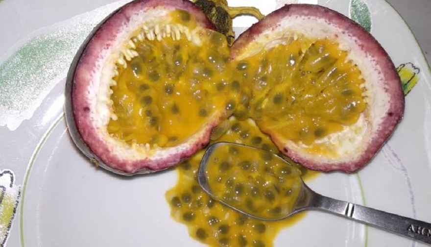 фрукт