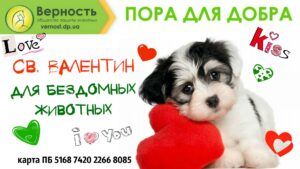 верность