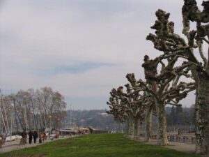 29258173_10209094579442033_5730054434977421188_n