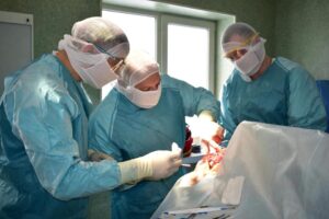 29356870_1021475404676000_1734468731716418038_n