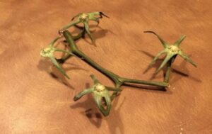 Ветку от томатов выдали за веганский беспилотник