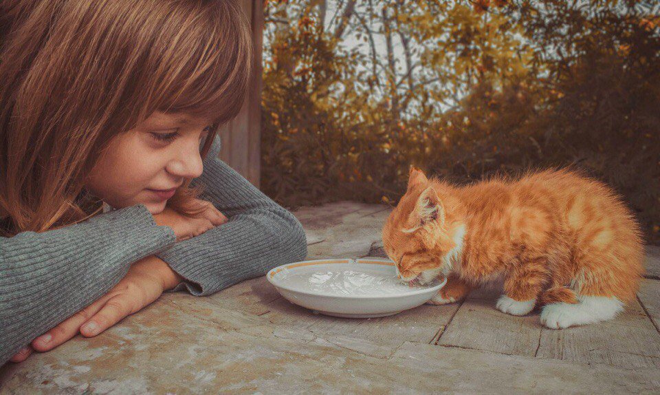 Добрый человек