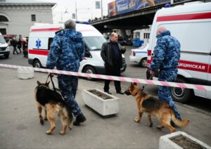 2cc53d3e2fff4919db172bc72278896c