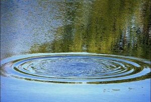 водоем