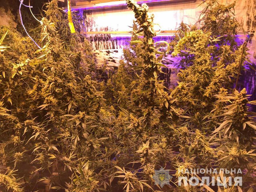 фото полиции