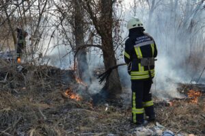 фото ГСЧС, горел сухостой в Днепре