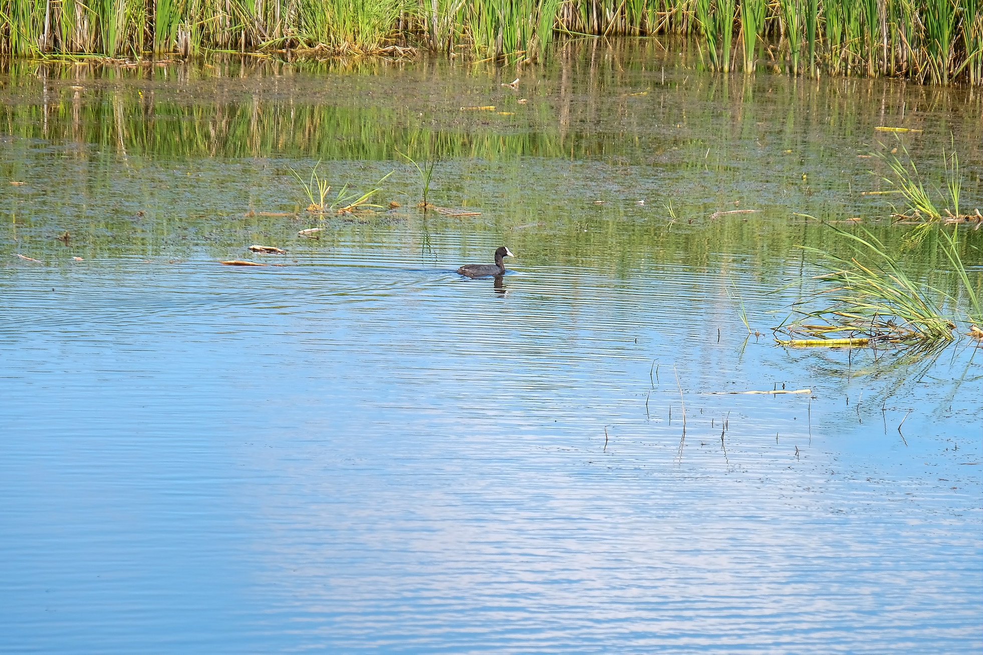 36531922_664160920591867_3526787724818251776_o