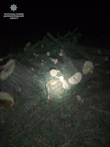 37397765_1913428338949772_1056204145385537536_n