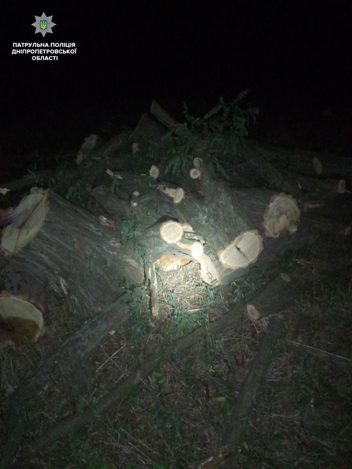 37397765_1913428338949772_1056204145385537536_n