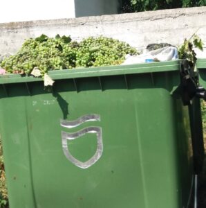 37727490_1692965060752038_4490394333807116288_n