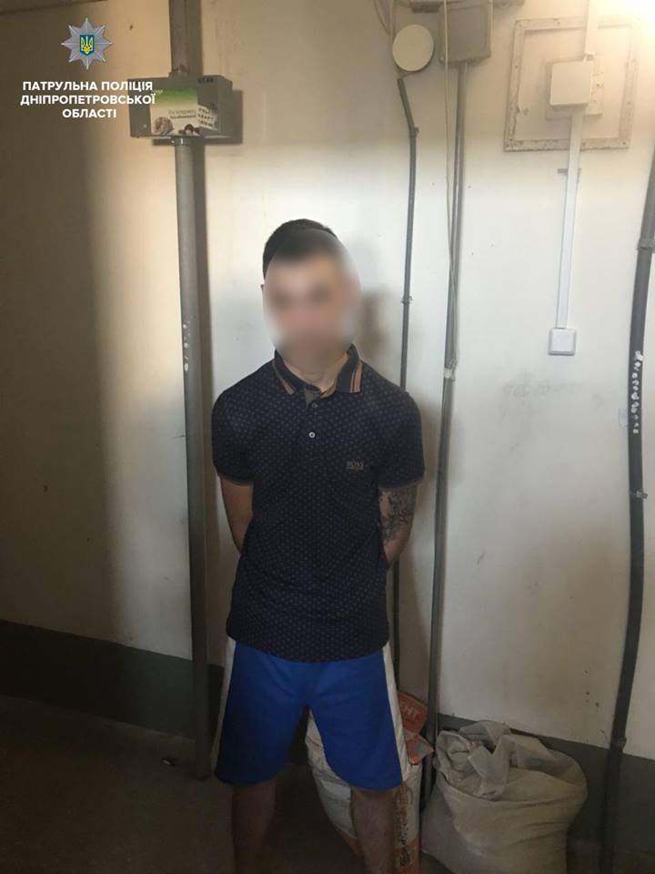 37732347_1917249941900945_7698034669631045632_n