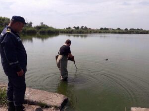 37969472_230795877757495_3930320067148906496_n_1