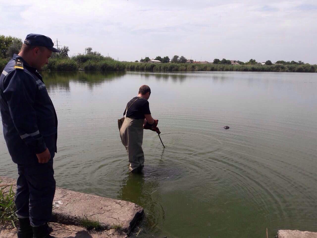 37969472_230795877757495_3930320067148906496_n_1