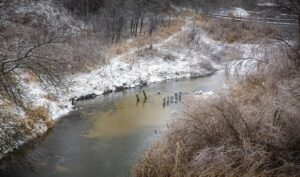 На Днепропетровщине хотят восстановить пересохшую реку Орель