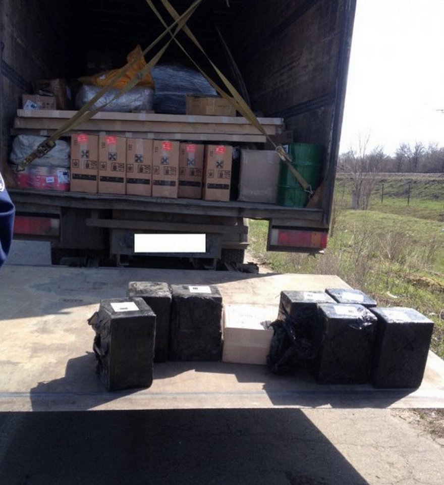 Собака с пивом