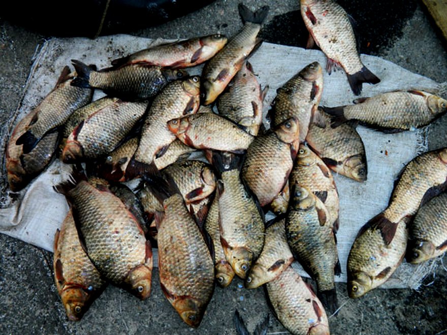 фото полиции