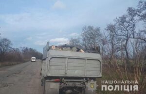 На Днепропетровщине задержали ЗИЛ с 3 тоннами срубленных деревьев
