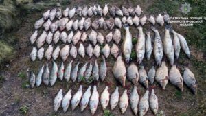 фото полиции