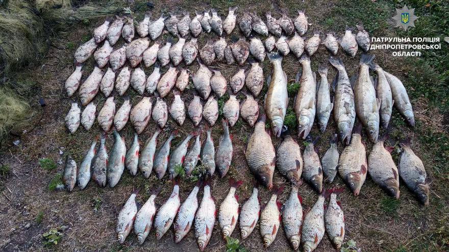 фото полиции