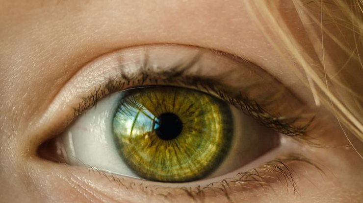 Цвет глаз