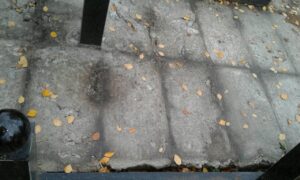 44845502_2087823584672829_2654683963846557696_o