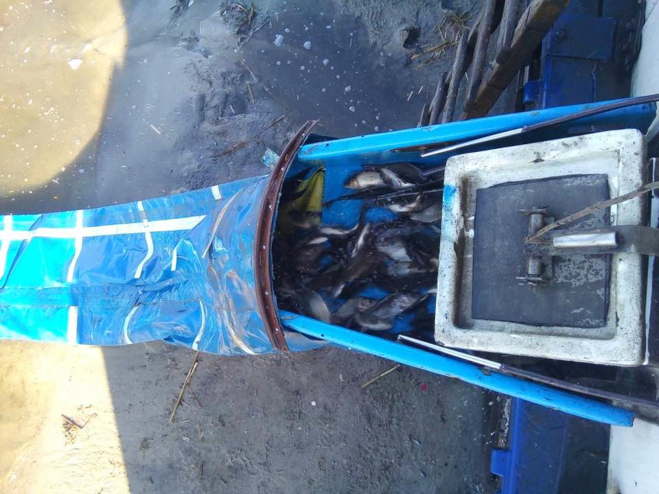 45513303_2282500368729744_2829181205113470976_n