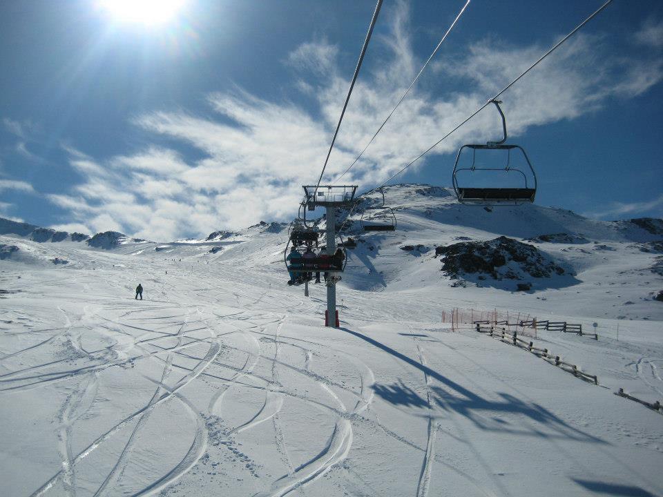 Олень перебежал дорогу горнолыжнице во время спуска