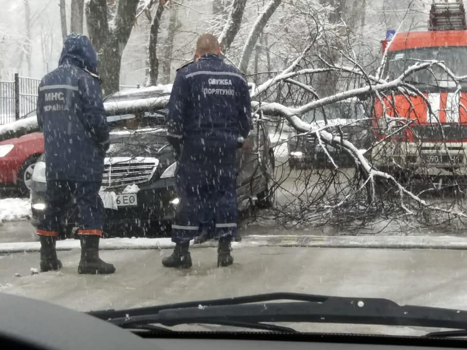 дерево машина Днепр