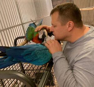 Мэр Днепра о попугаях